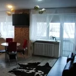 Комфортная 1-комнатная квартира-студия ул.Ленина насутки 
