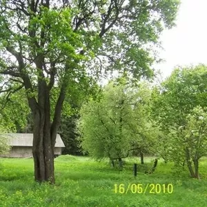 хутор в сосновом лесу жилой дом баня 60 км от мкад 1га участок