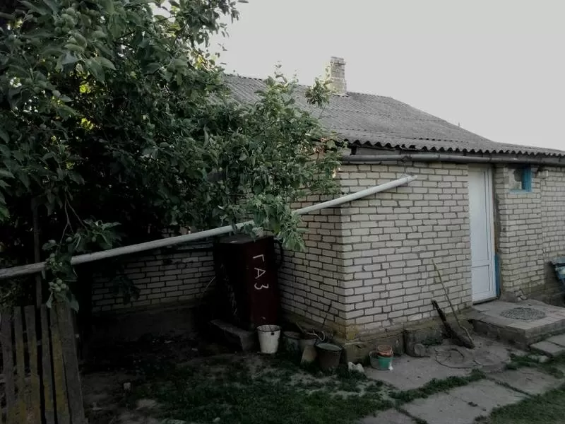 Продаётся дом в самом центре деревни Новосёлки 3